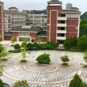 Chongqing Medical University